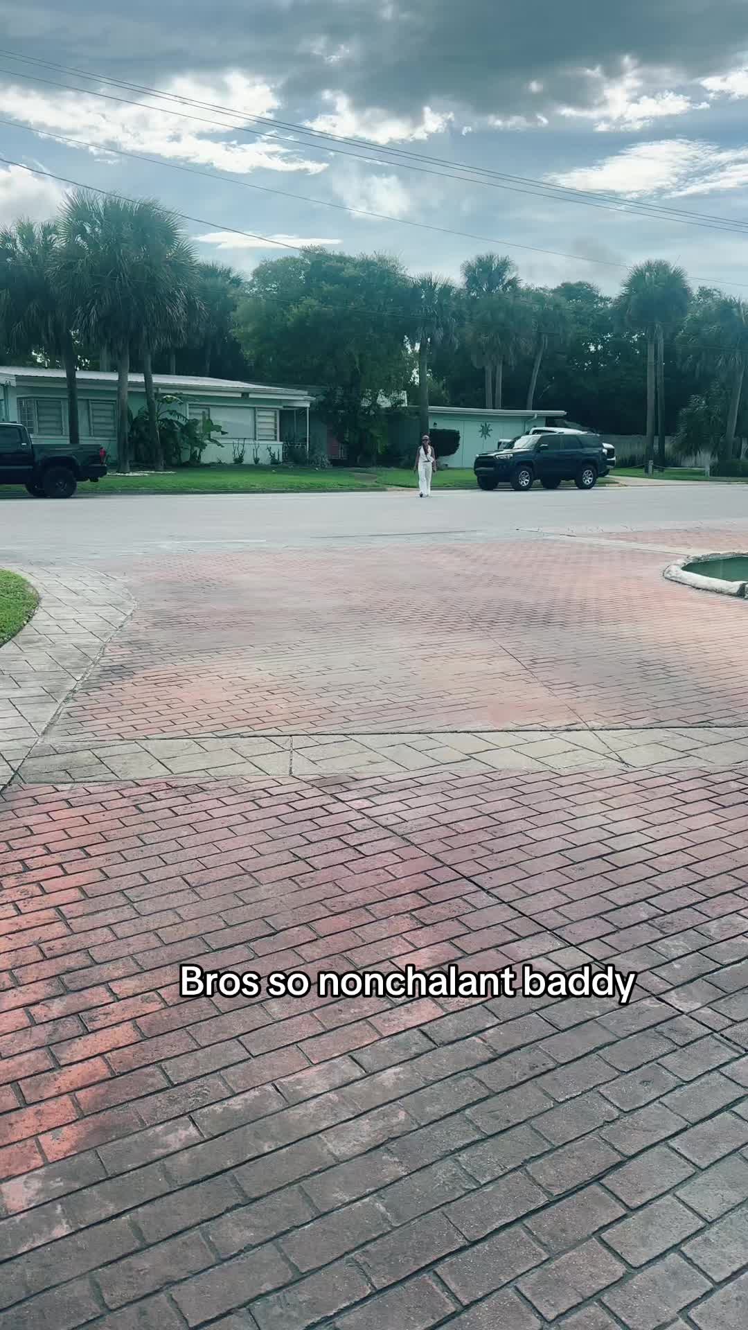 @gnatty.baddy