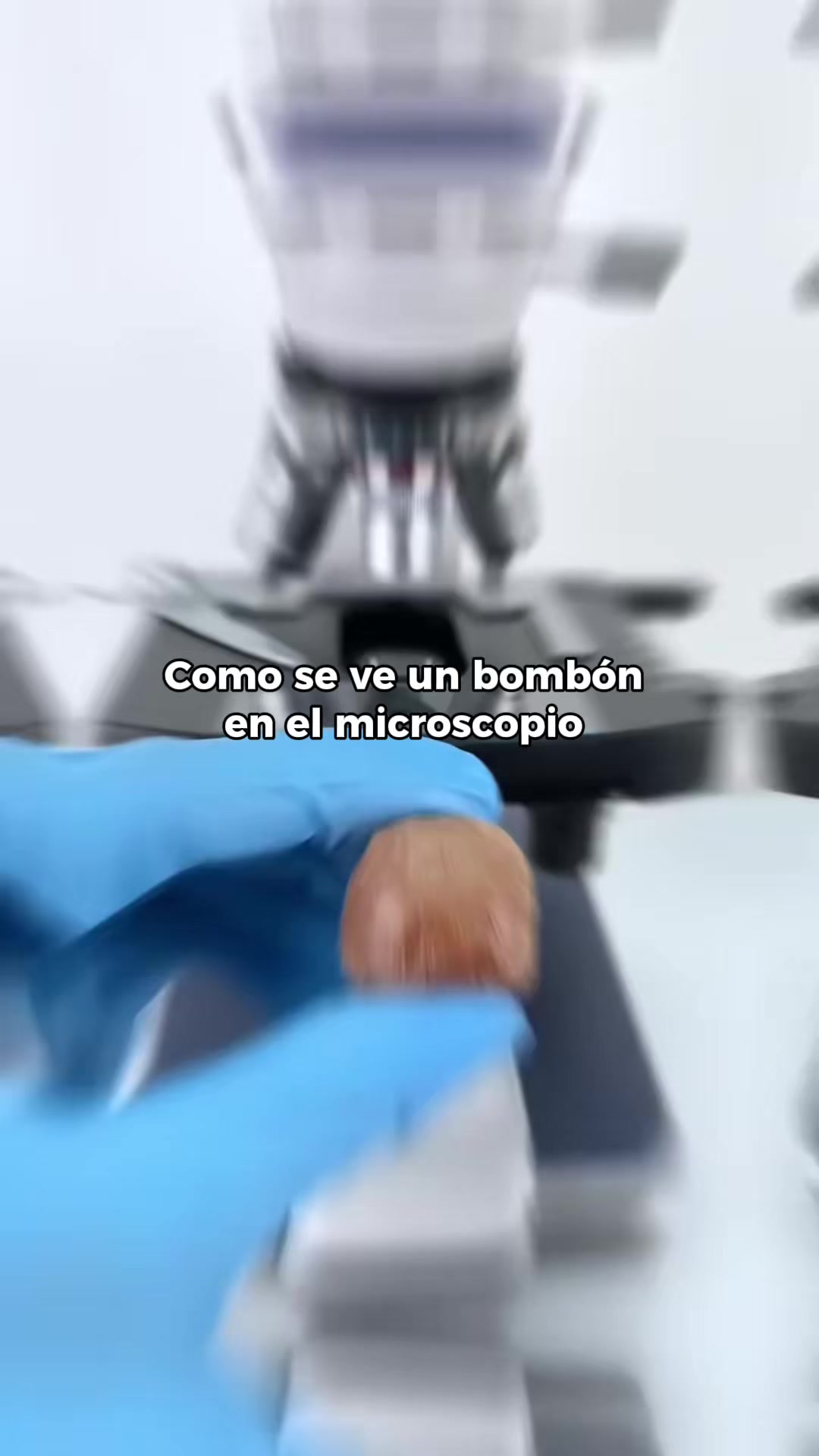 @Milena Lopez