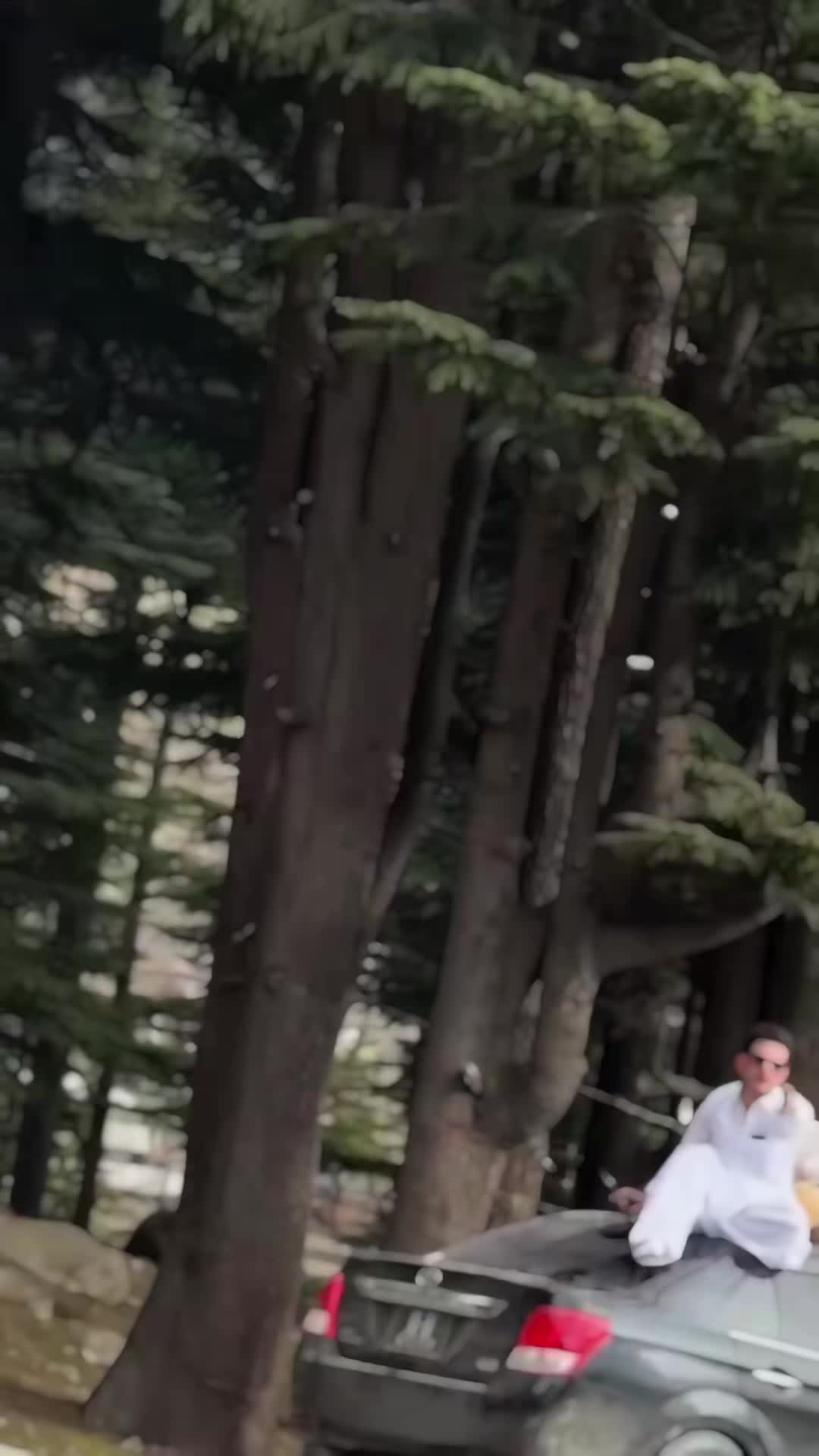 @🦋Hخان🦅