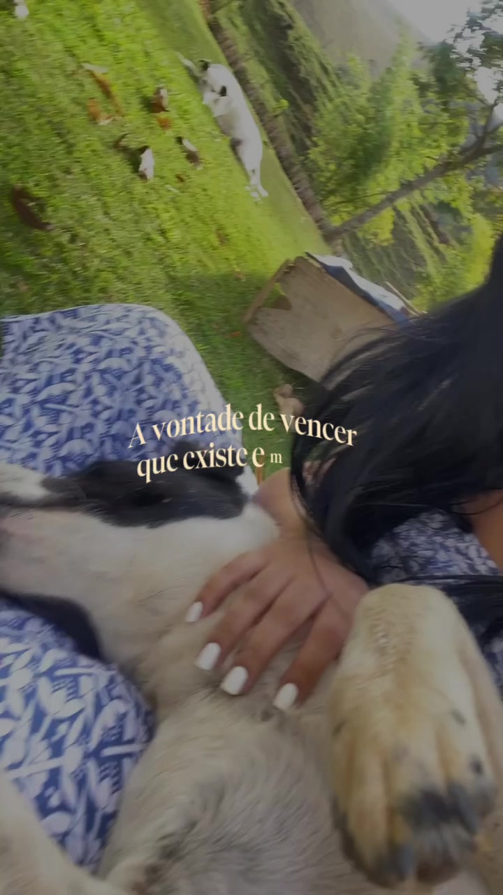 @Vict&oacute;ria Nogueira
