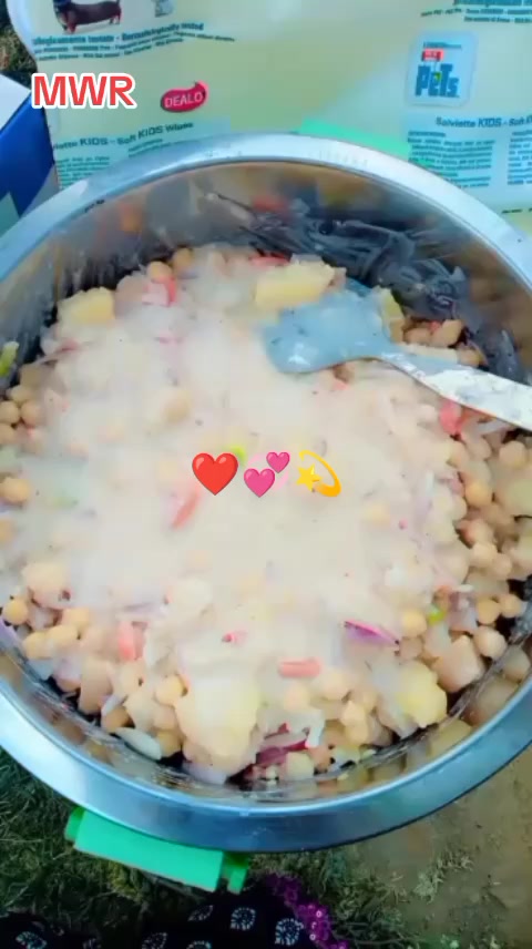 @👑RANI❣️JHELUMI👑