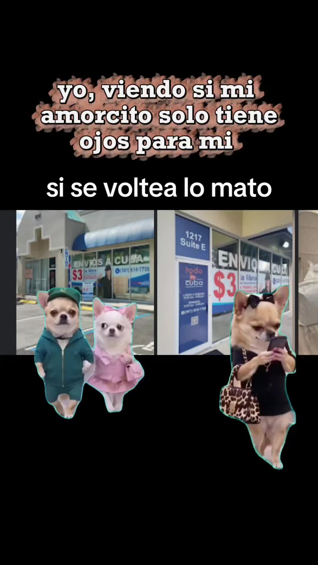 @alina