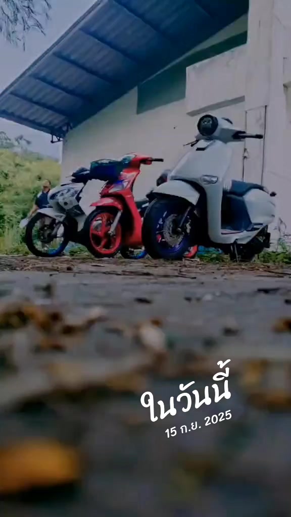 @ปามมี่