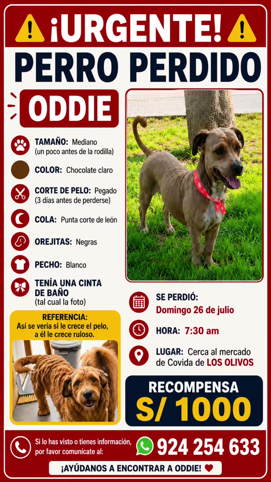 @Perritos Voladores