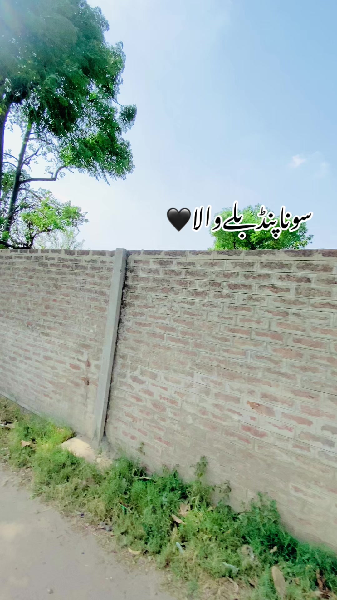 @سونا پنجاب 🌾🍂🥀