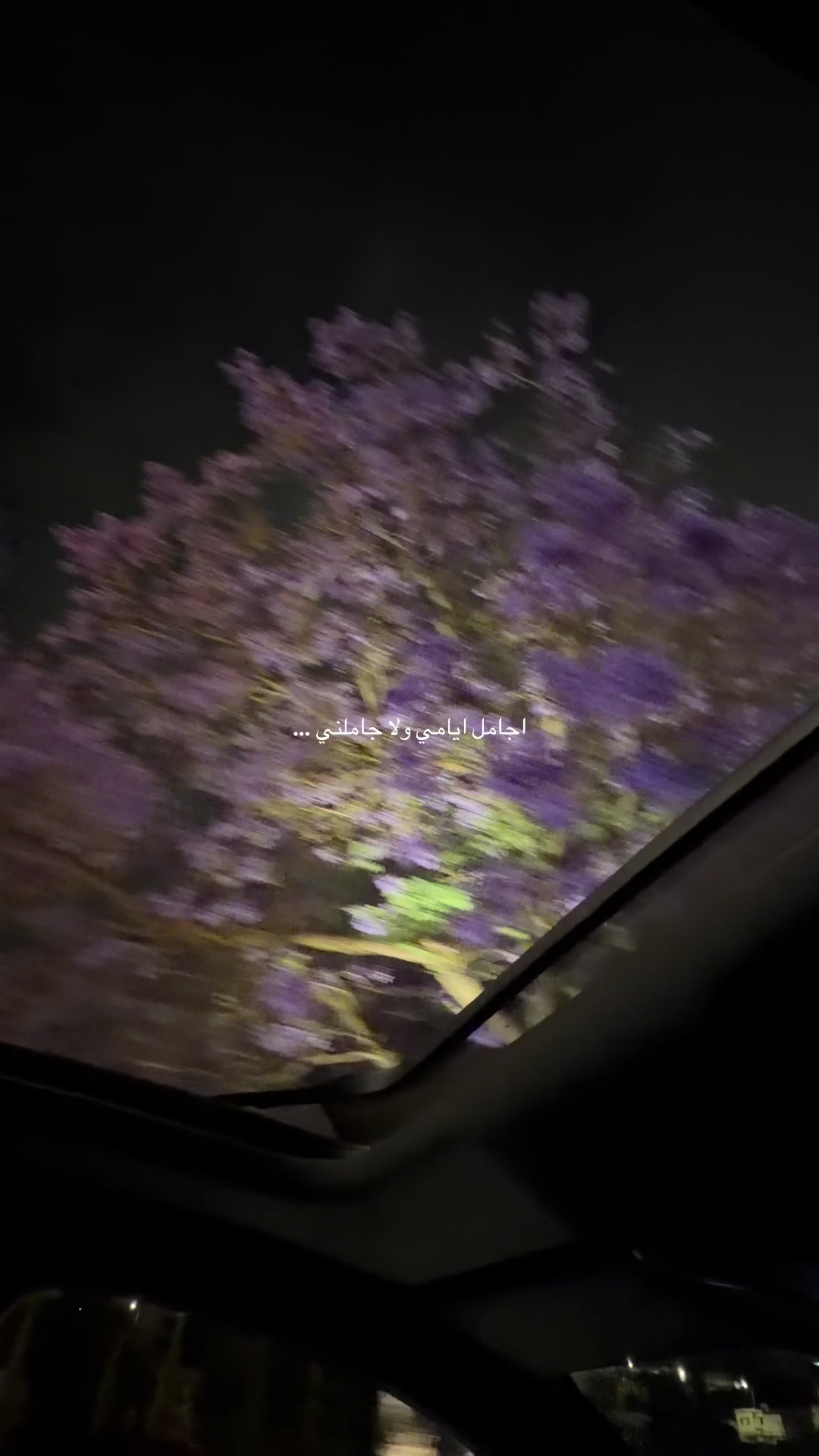 @اثير القحطاني🌱