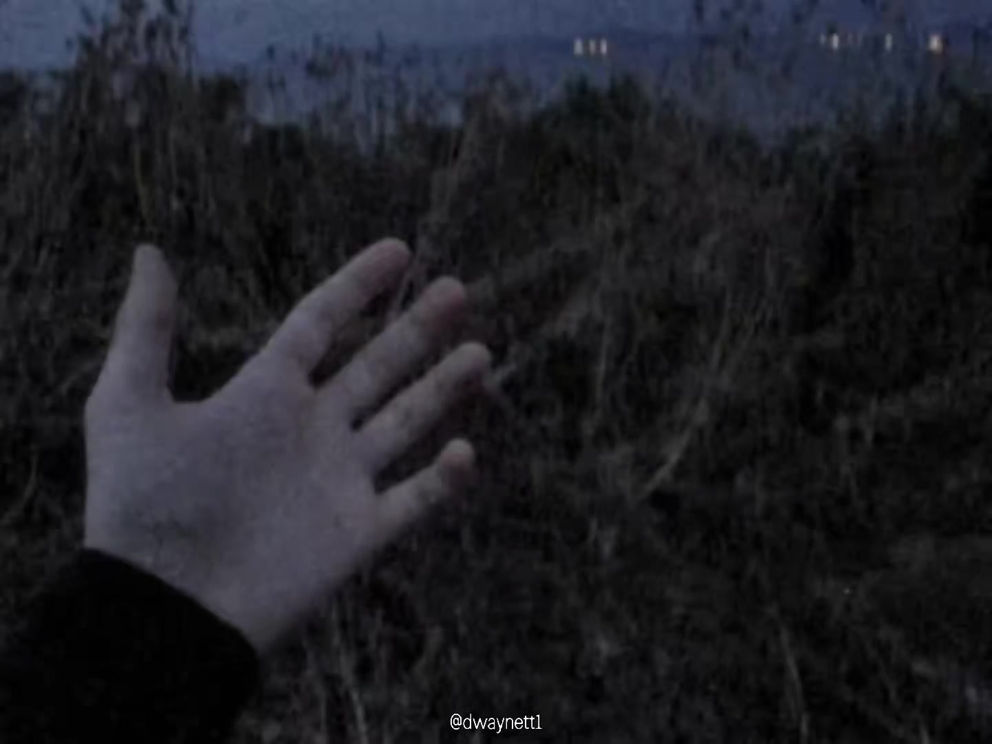 @Dweynz
