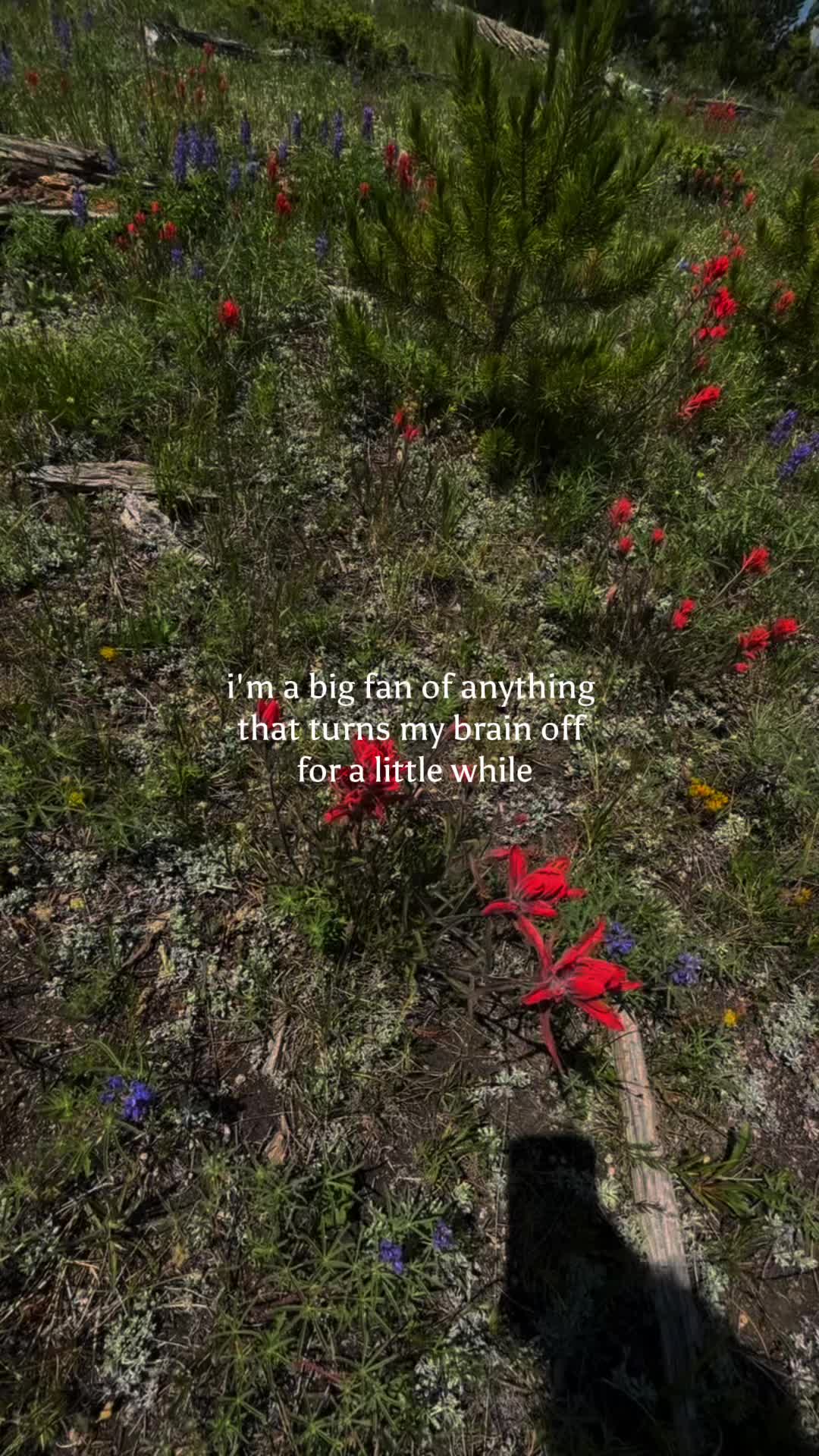 @Iusetobefun