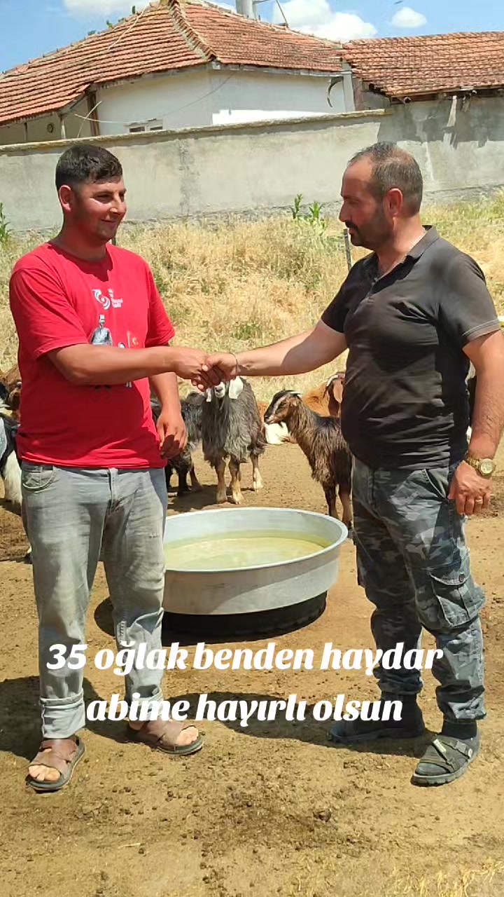 @Cemrehan Doyar