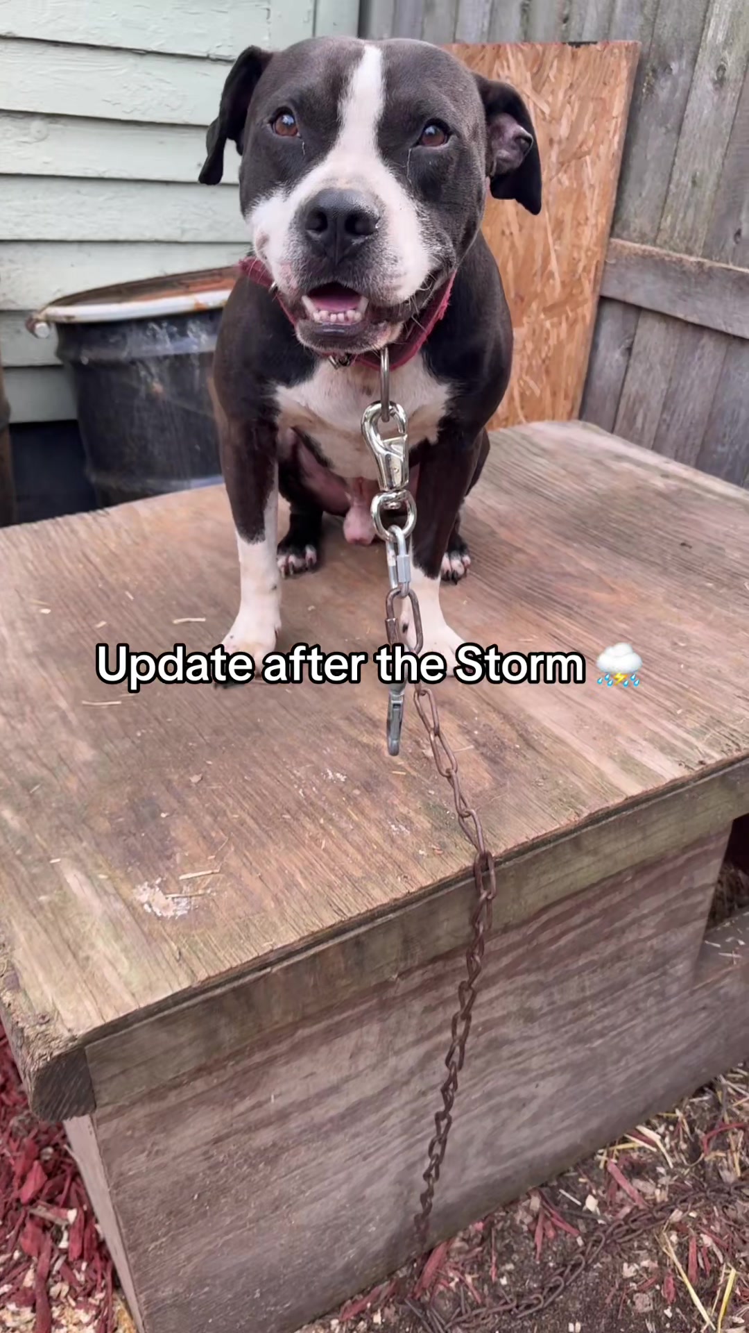 @Jeep Rascal Kennels