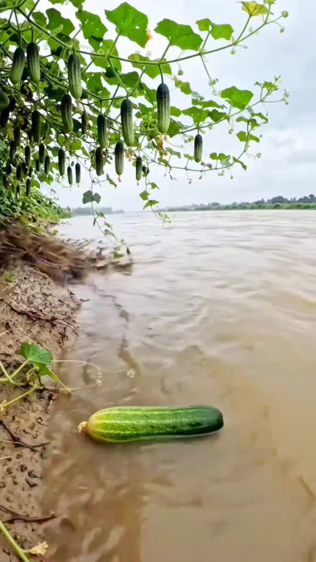 @amruthkhan0