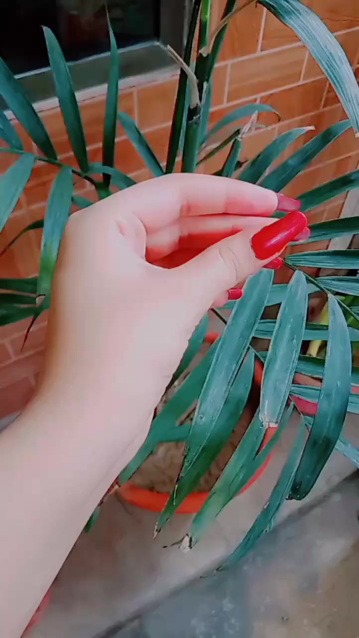 @ღℋ𝑜𝓃𝑒𝓎ツ