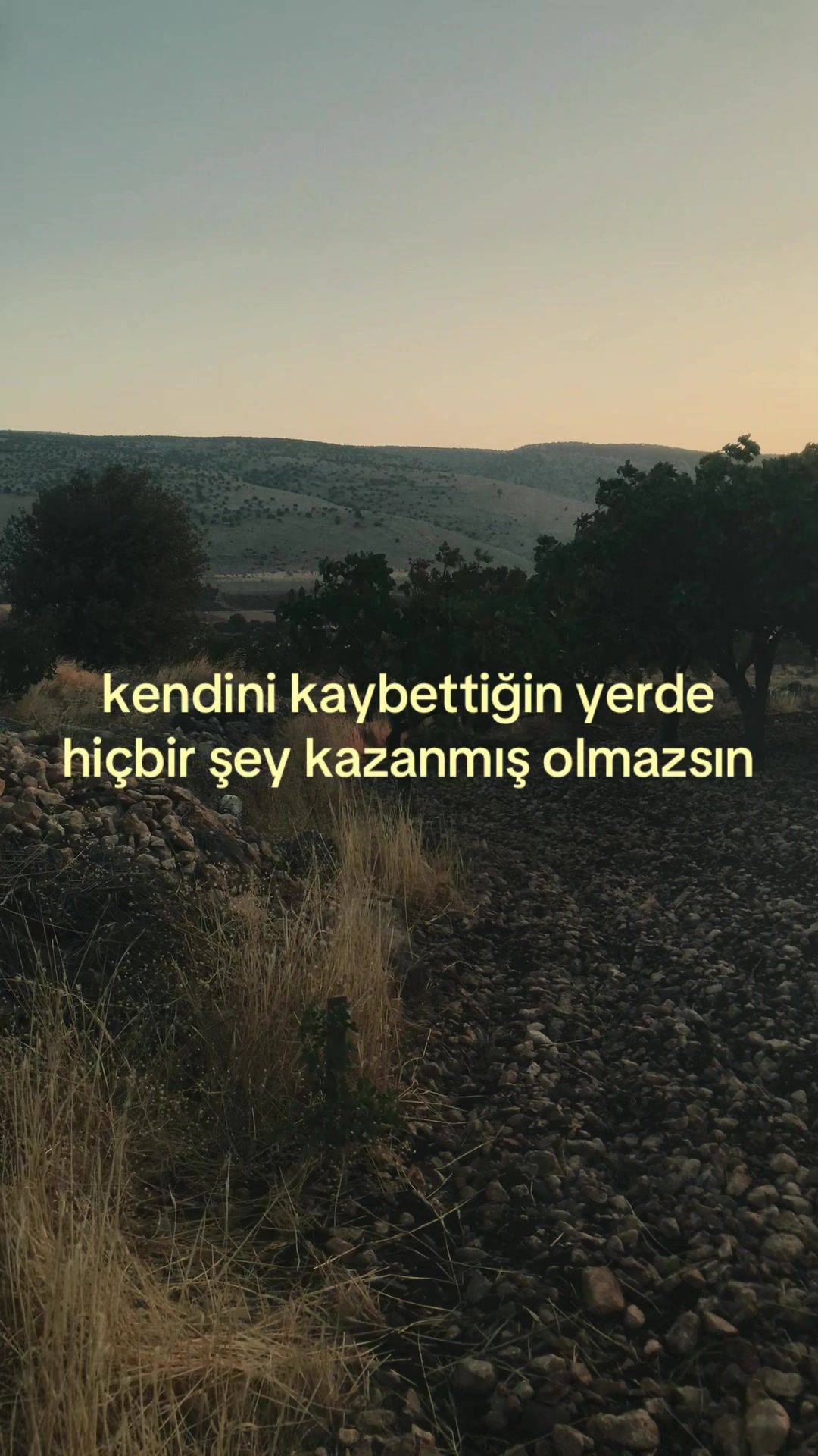 @bendenizdem