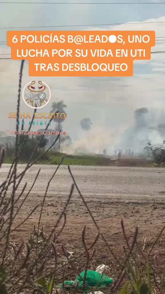 @Brayan Gamboa - Periodista