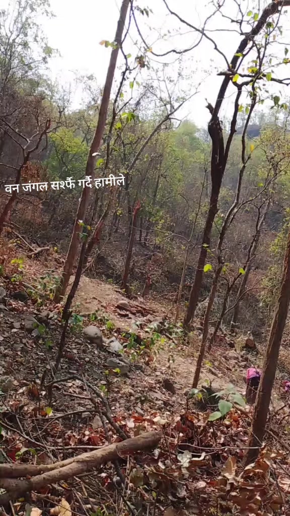 @Manisha xettri