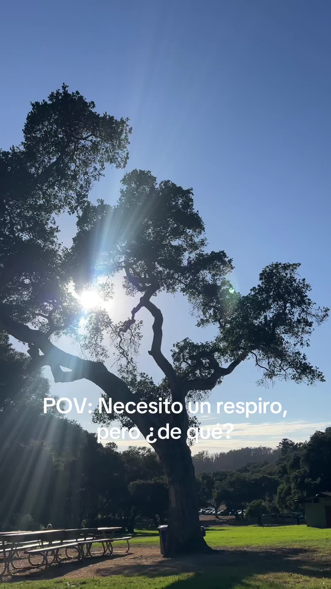 @Kenia