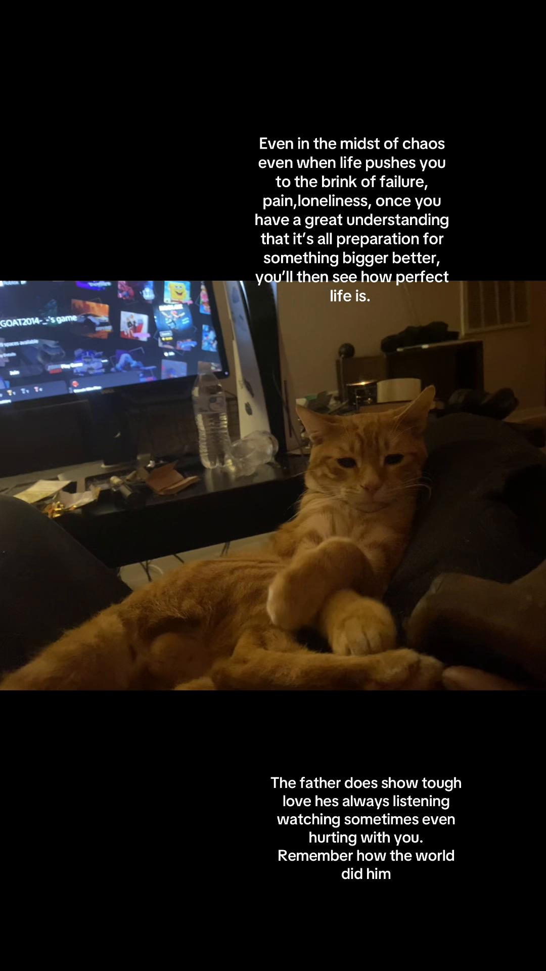 @w3sm3ss