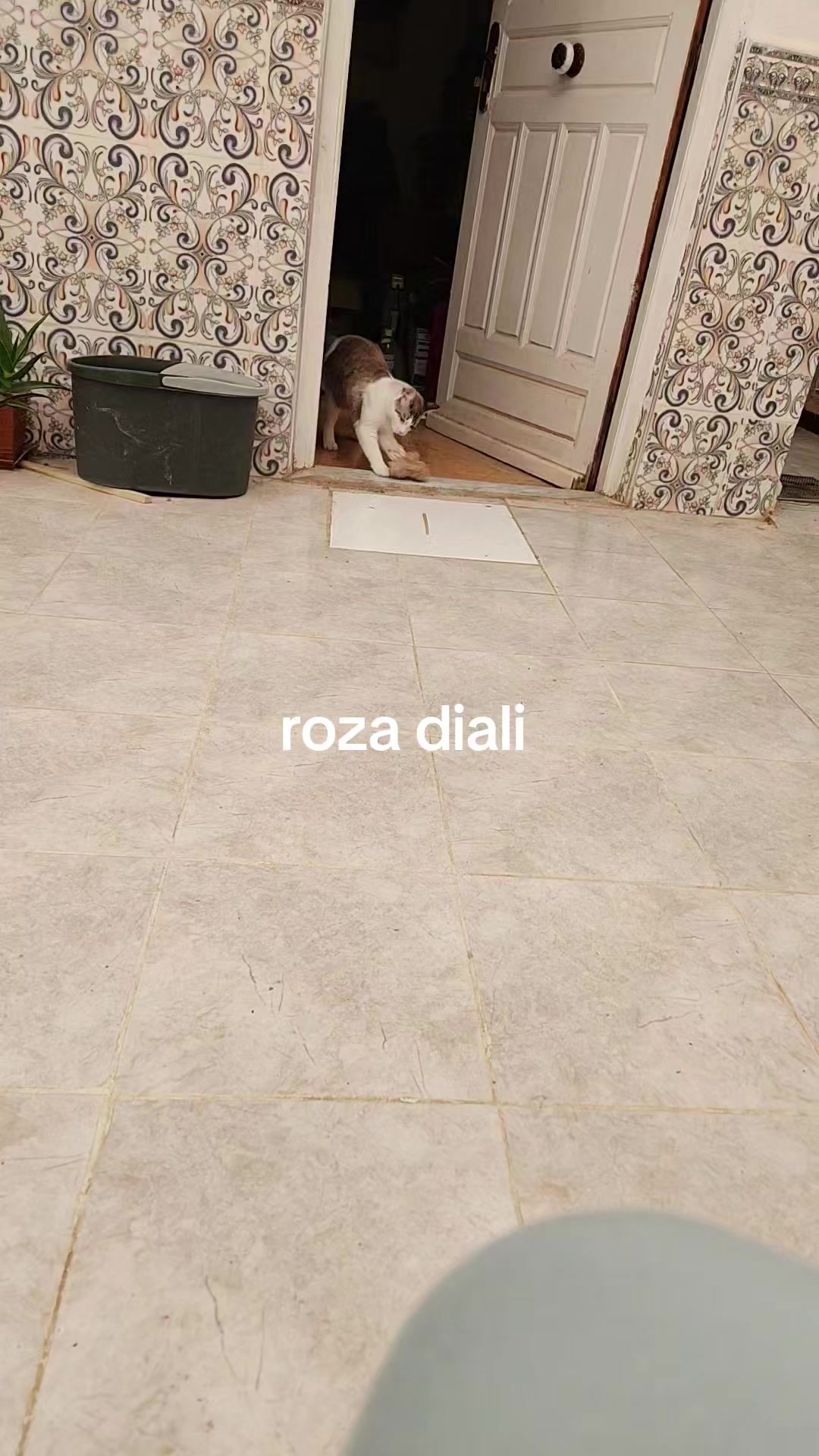 @mimida la reine