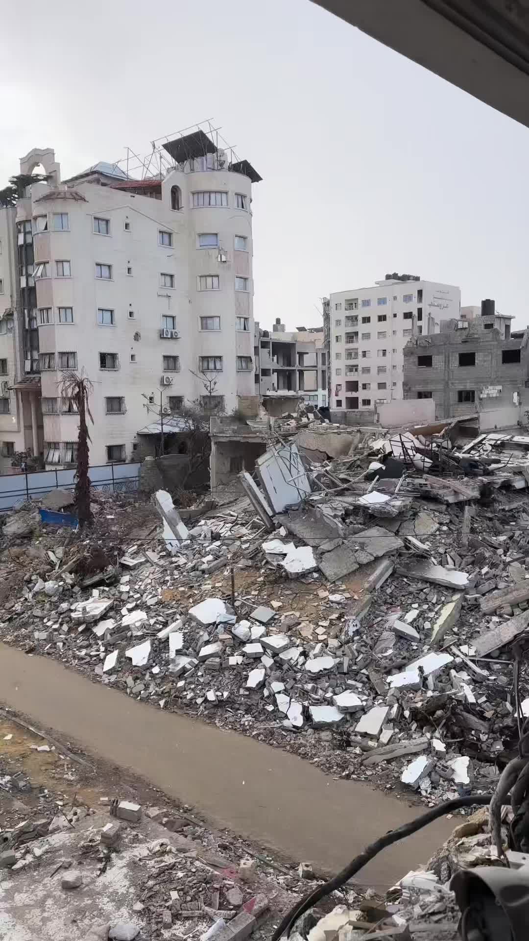 @the.girl.in.gaza