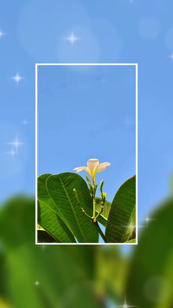 @Najunjaow Moon