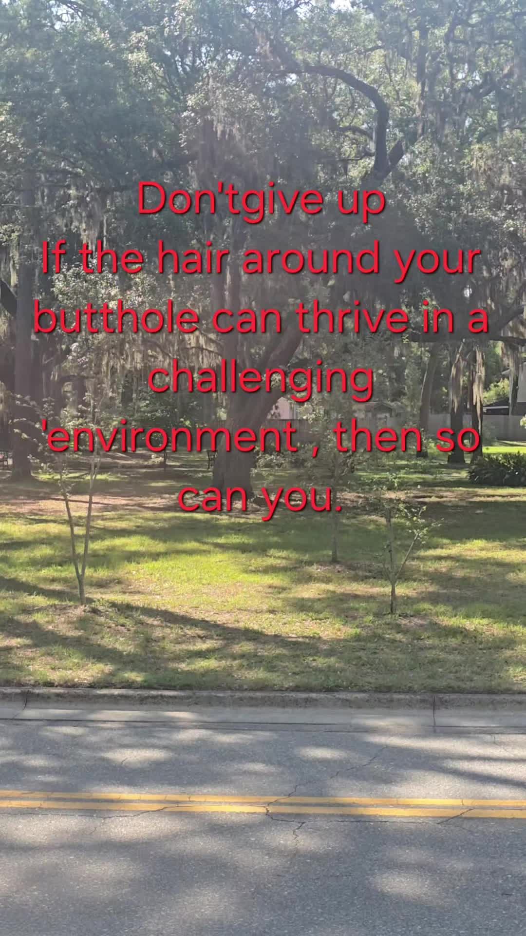@HamsterGaming1TTV