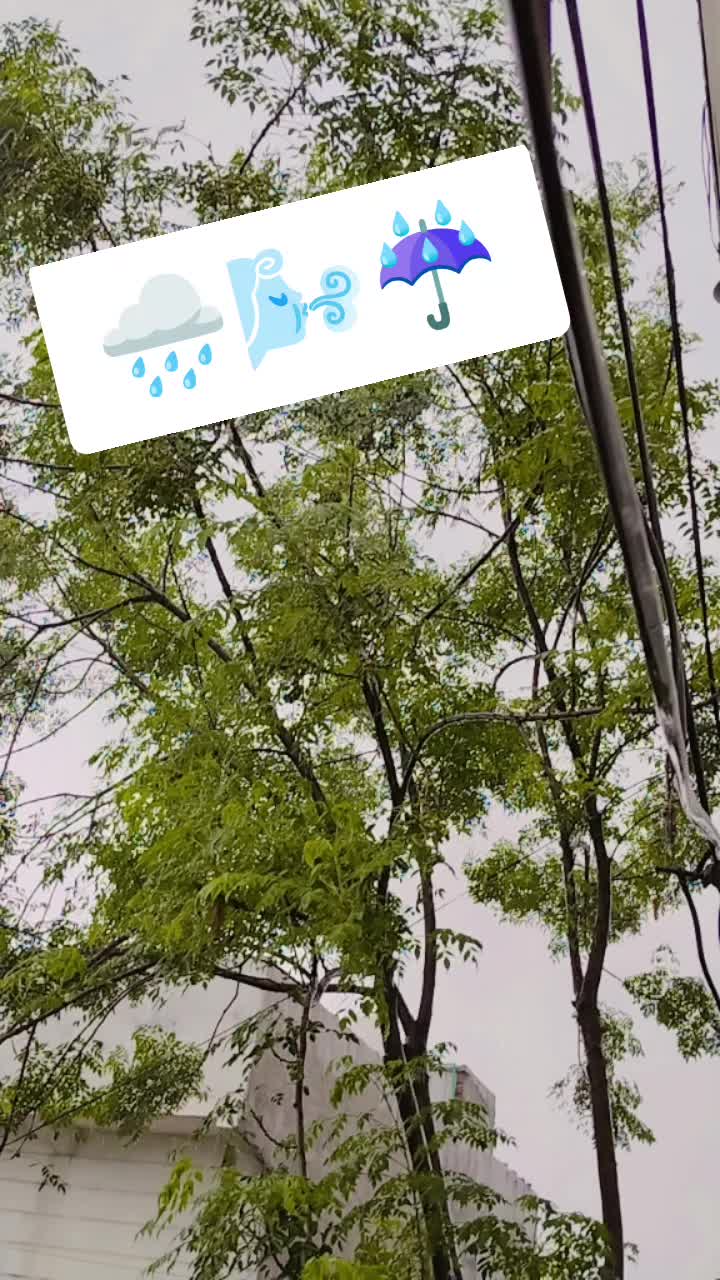 @꧁࿇♥زوجۂ توقیر ♥࿇꧂