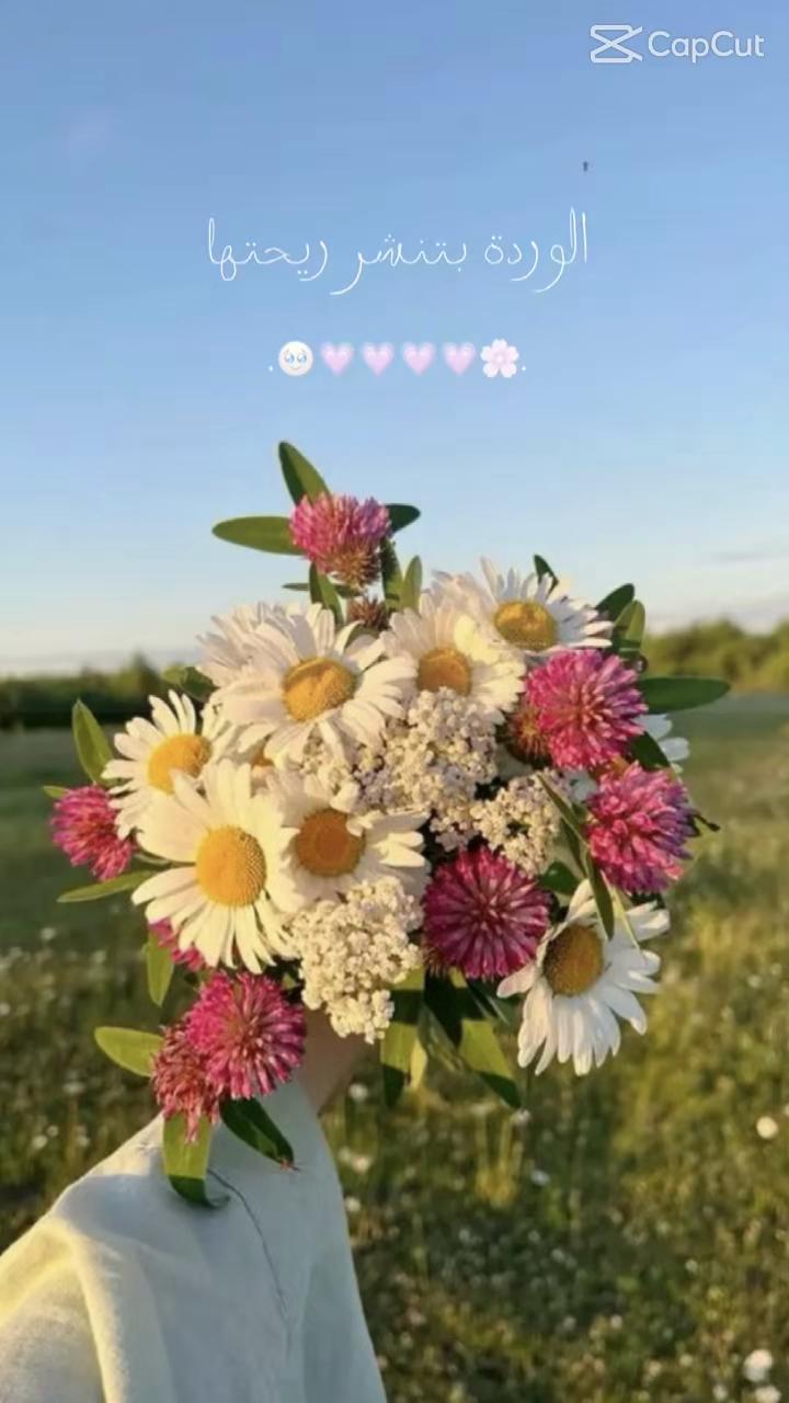 @عاشقة_الورد…🪽
