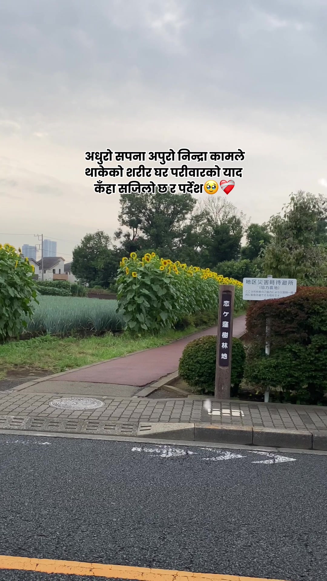 @Binisha❤️🇯🇵