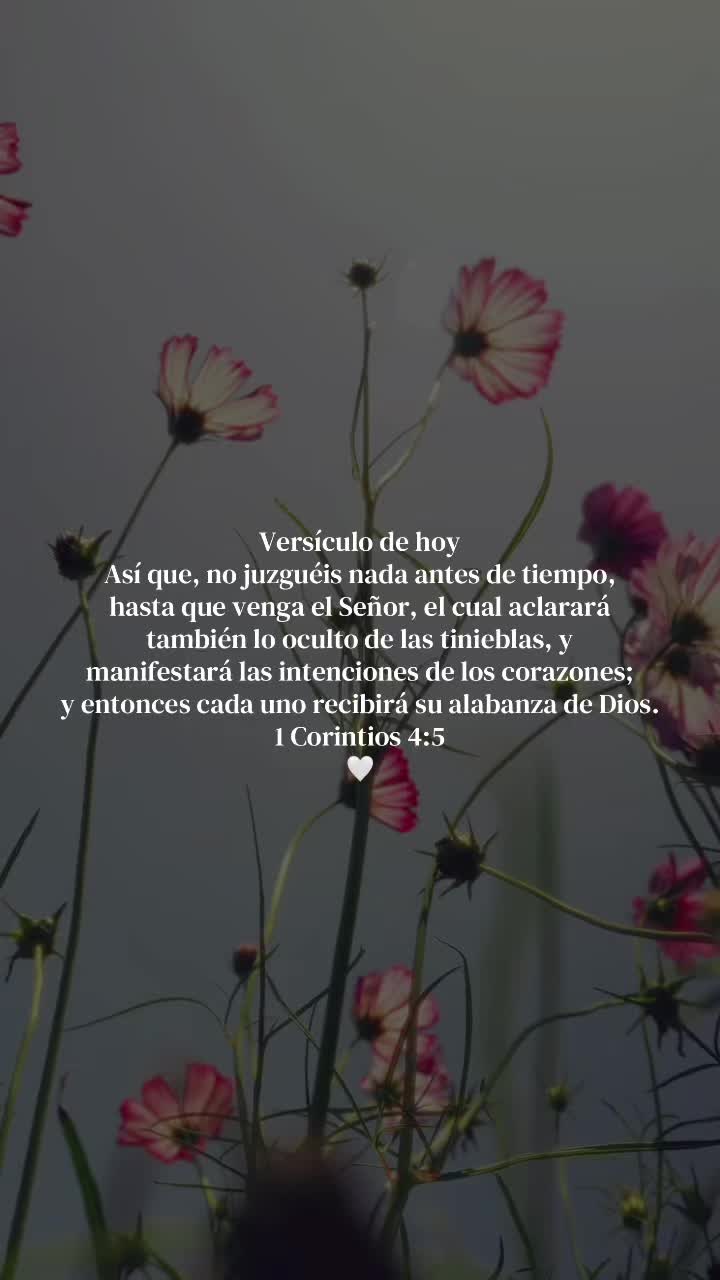 @Aleluya