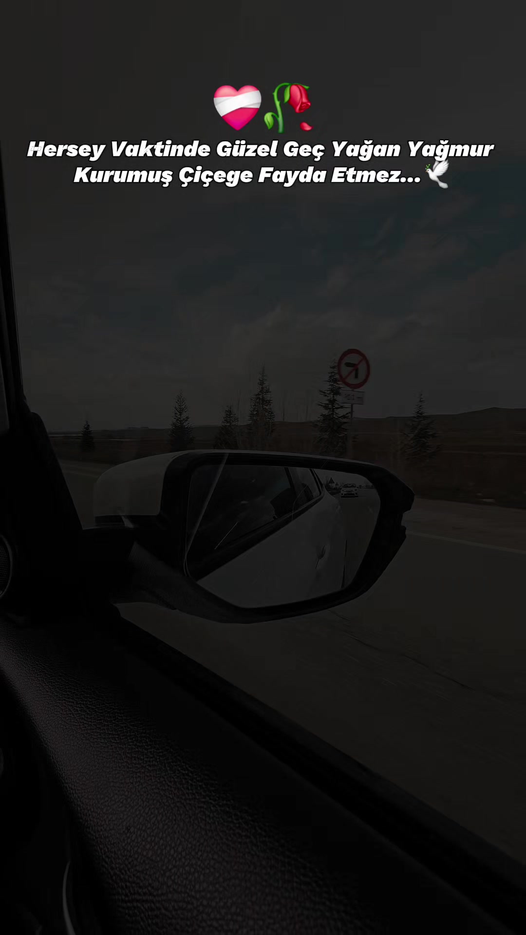 @Murat Taş