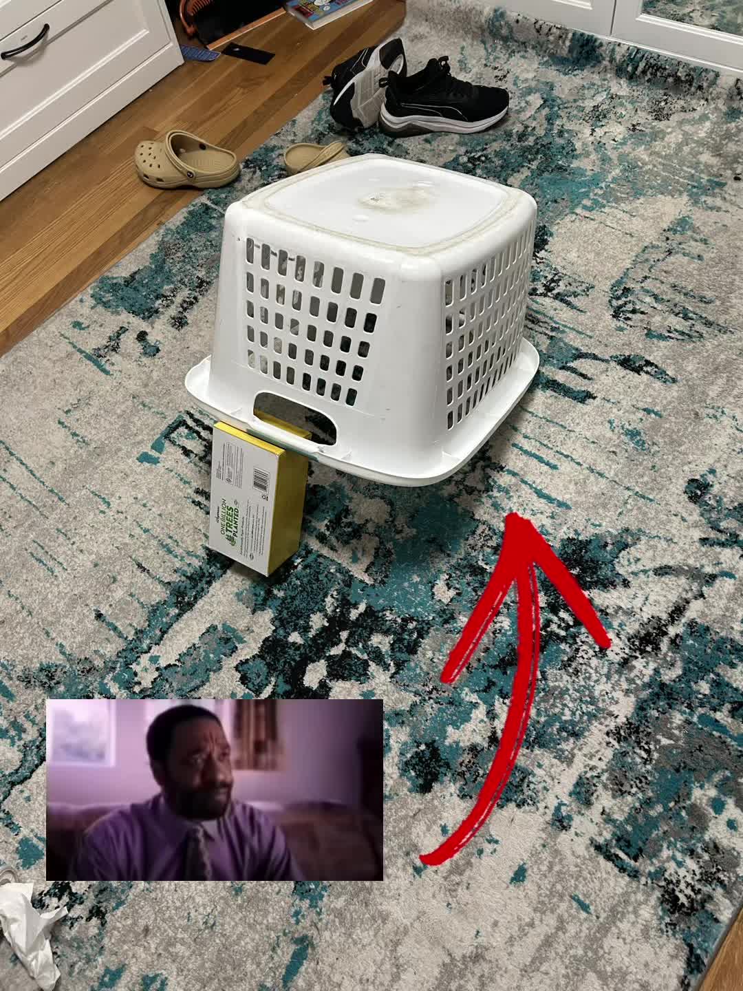 @𝙉𝙖𝙘𝙝𝙤