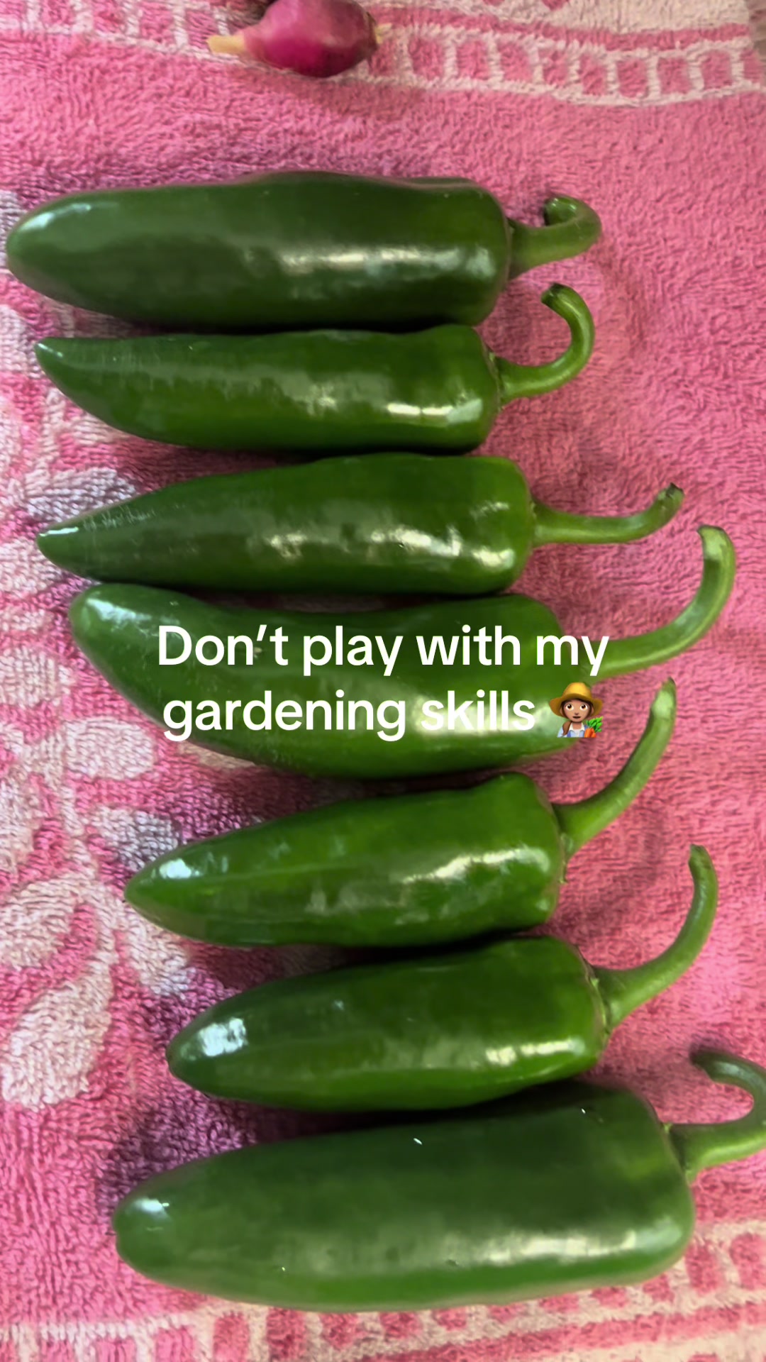 @JamieMamey