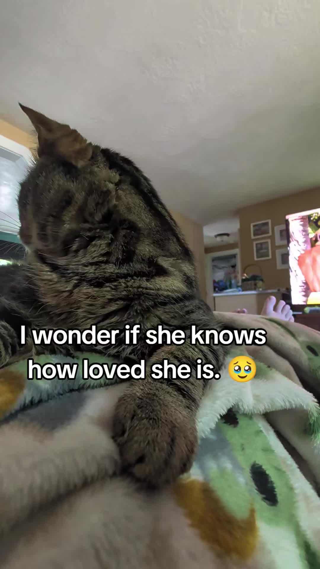 @Kaley | Wife | Bonus MOM