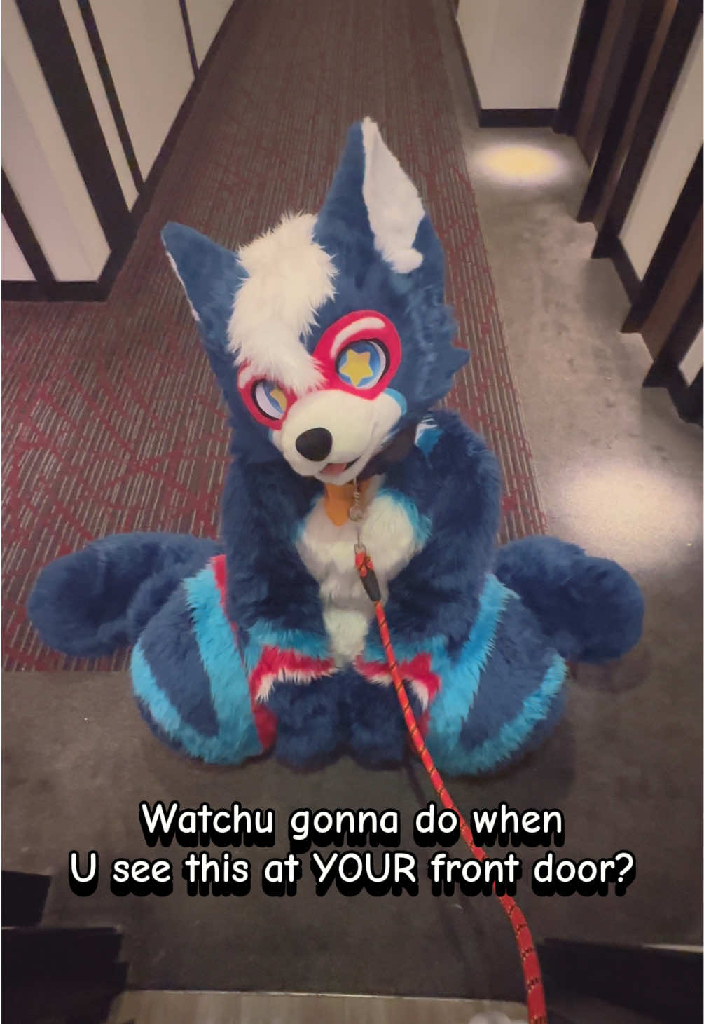 @⭐️ RukieFloof ⭐️