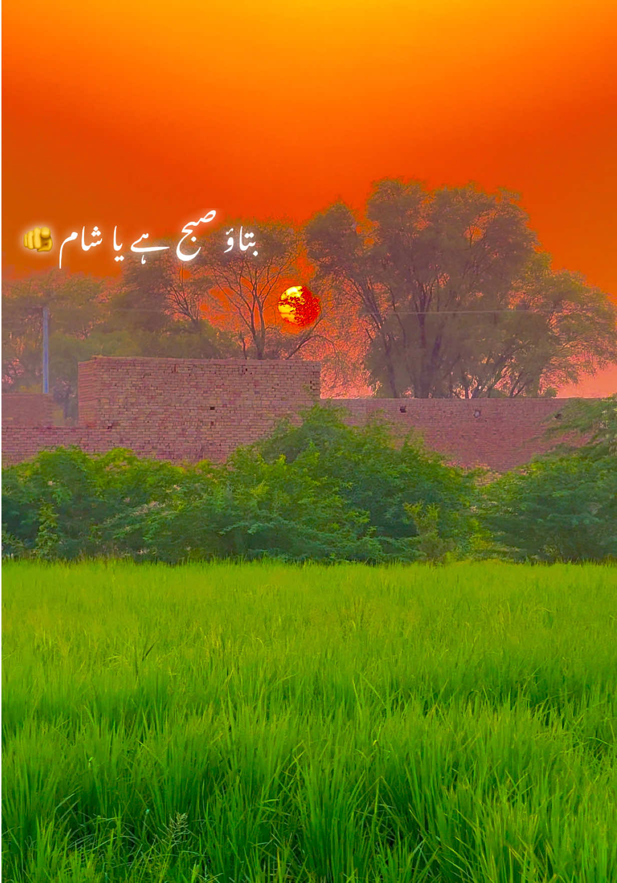@🌾میں۔ میرا۔ پنڈ🎋