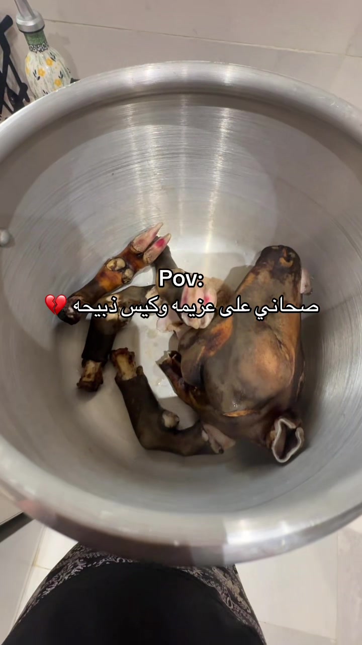 @Raha | رّها 🩵💉