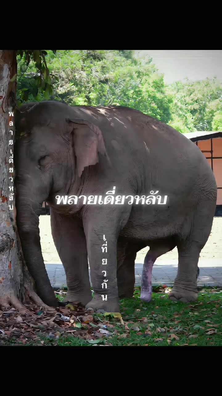@พี่จอห์น