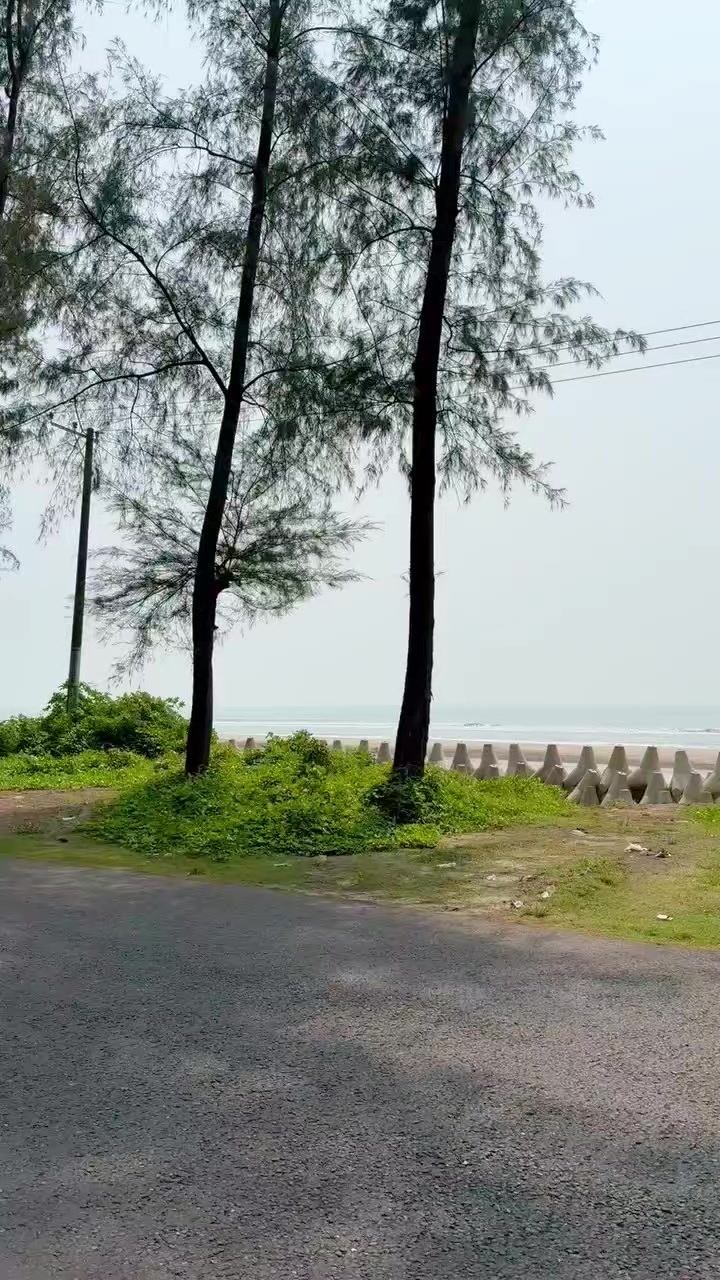 @borshakhan040