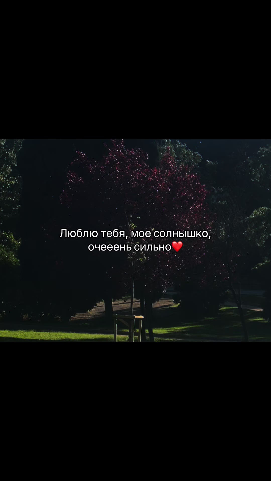 @С𝗲𝗿𝗱𝗰𝗲m 𝓭𝓵𝔂𝓪 𝓽𝓮b𝔂a