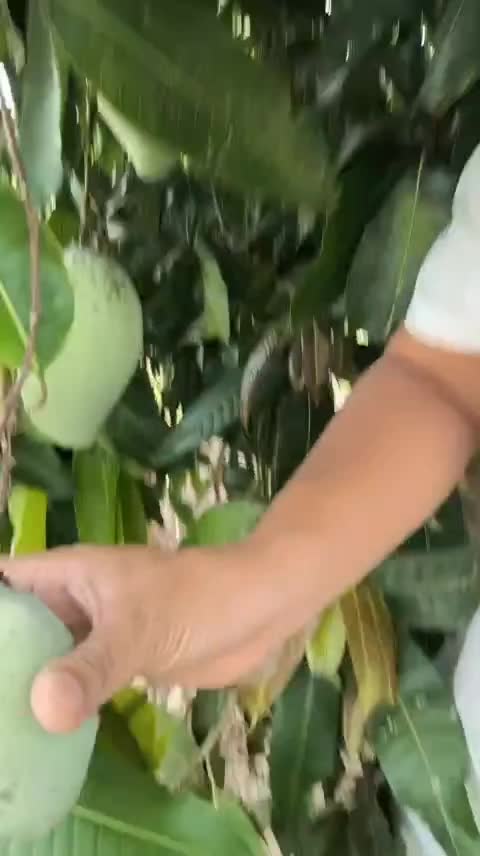 @FB:Quốc Khánh