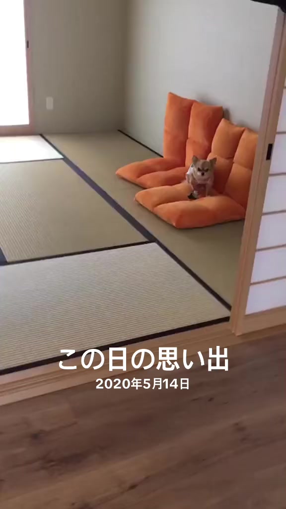 @さまむ〜