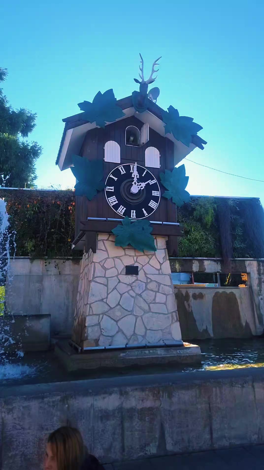 @Hugo⚓️🏴&zwj;☠️🐕&zwj;🦺🐩🐕🦮