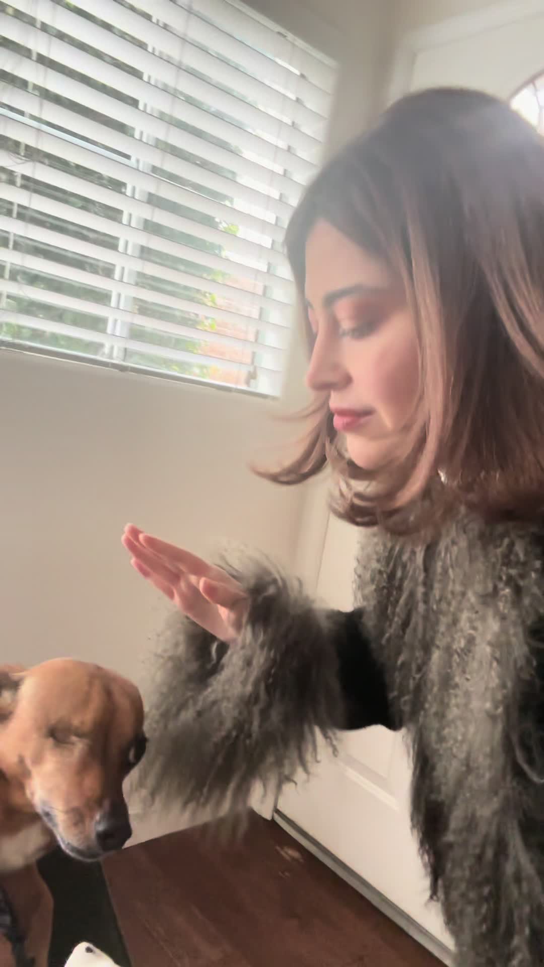 @Shiadanni