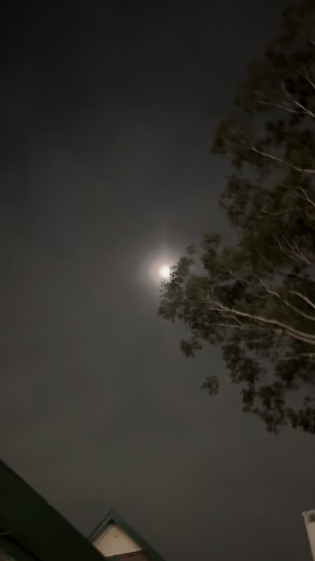 @Janaaaaaa_999🇦🇺