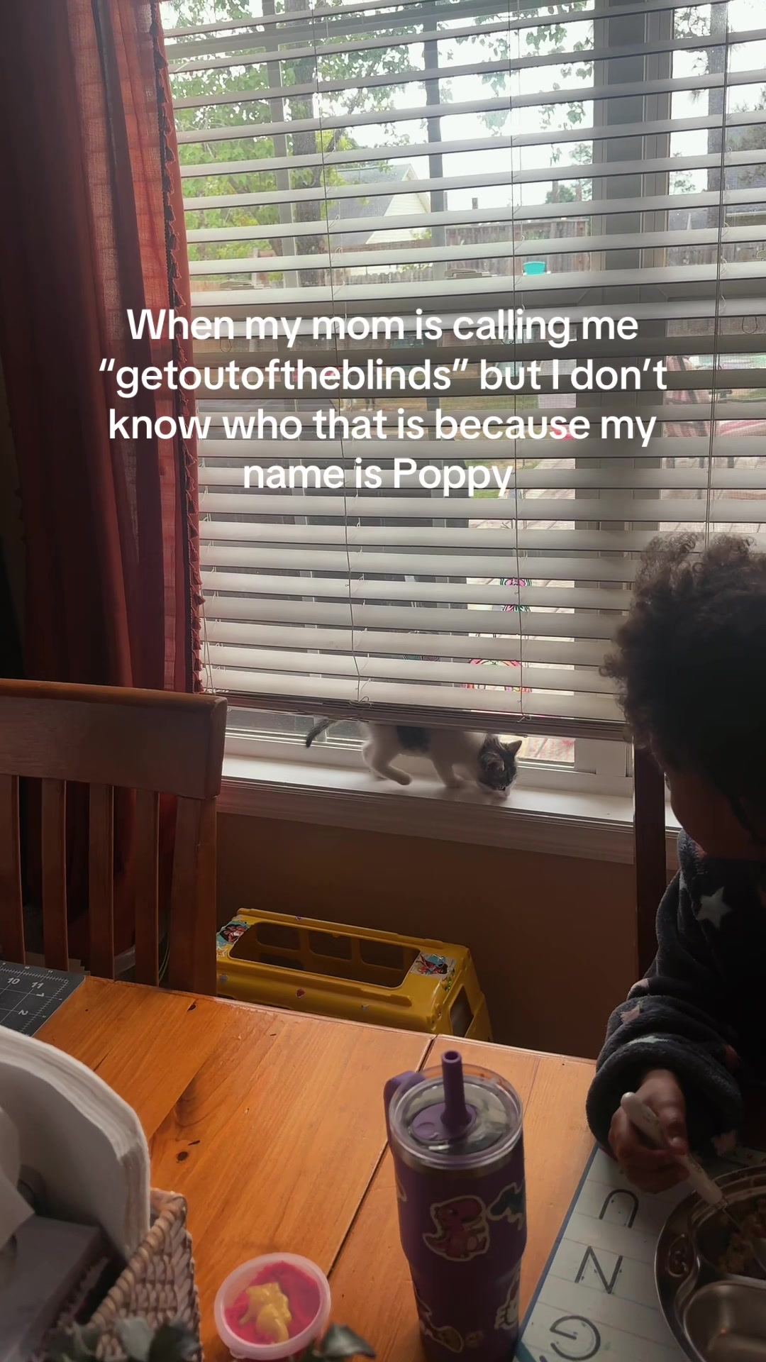 @aishajamilia