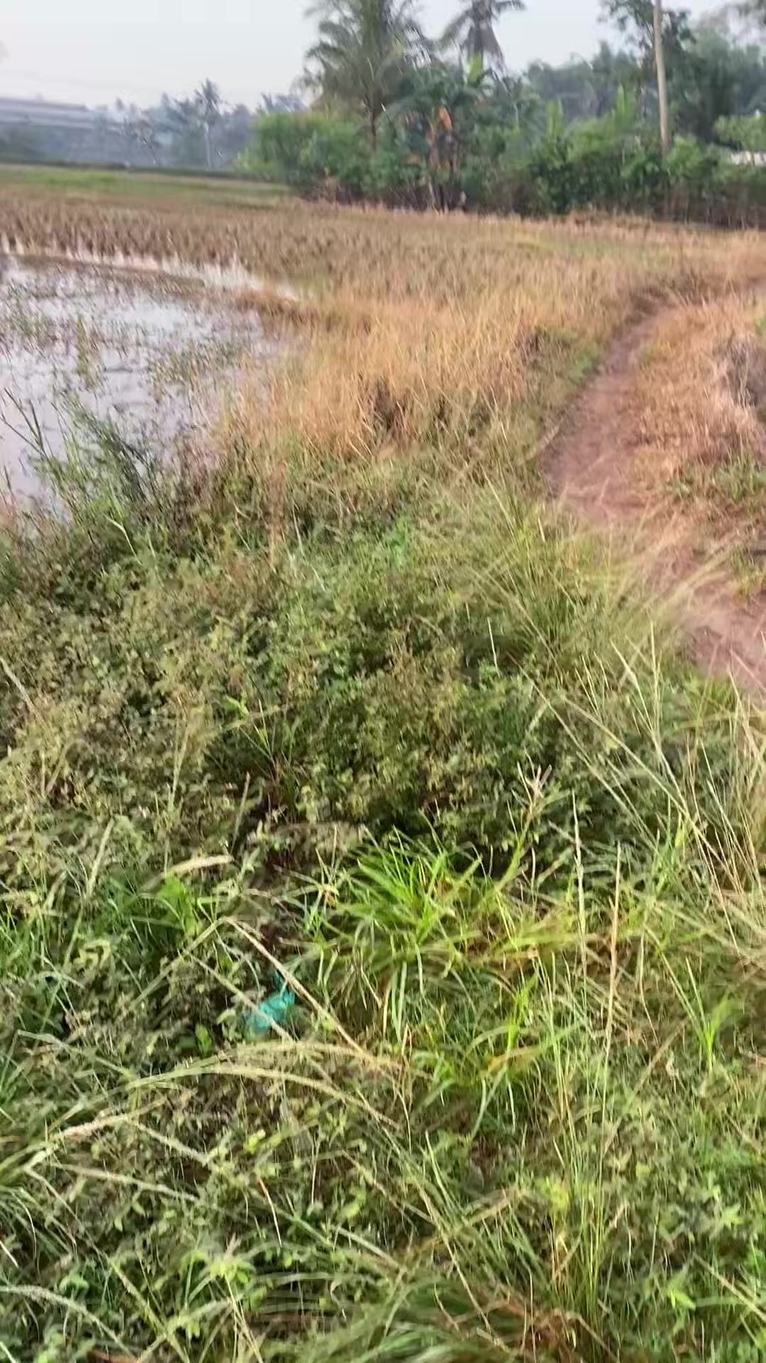 @stecu Fishing