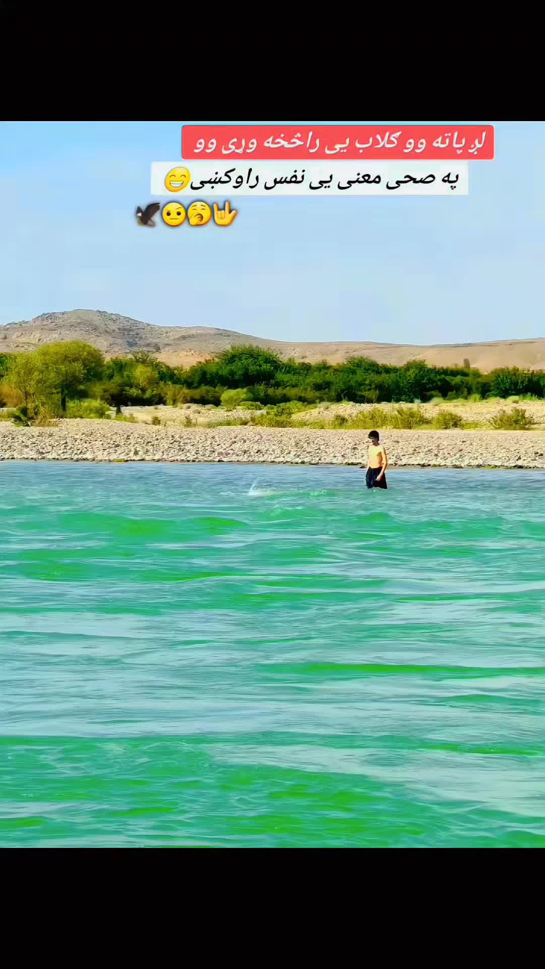 @🦅🫠🇦🇫ګل احمد قریشې🇦🇫🫠🦅