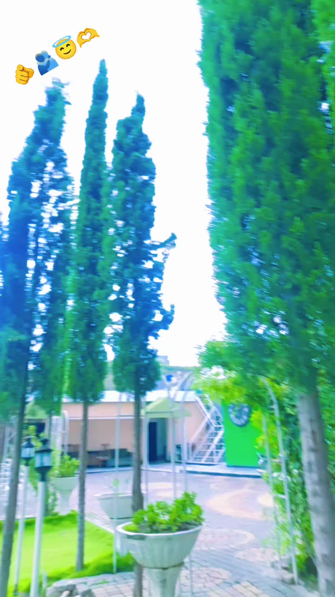 @🌸꧁&bull;⊹٭ سید زادی آفیشل  ٭⊹&bull;꧂🌸