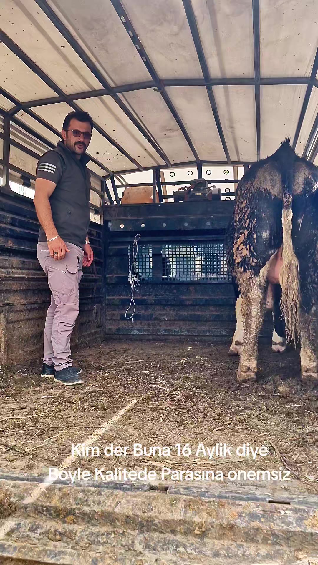 @Mikail Gülsoy