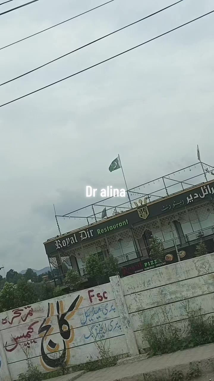 @ALINA